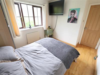Picture 15